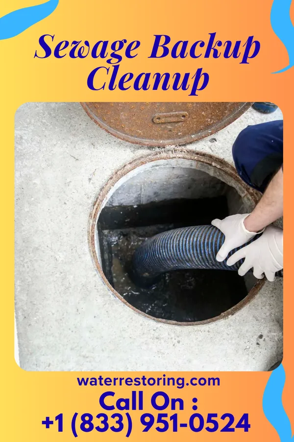 Sewage Backup Cleanup in Clifton, OH